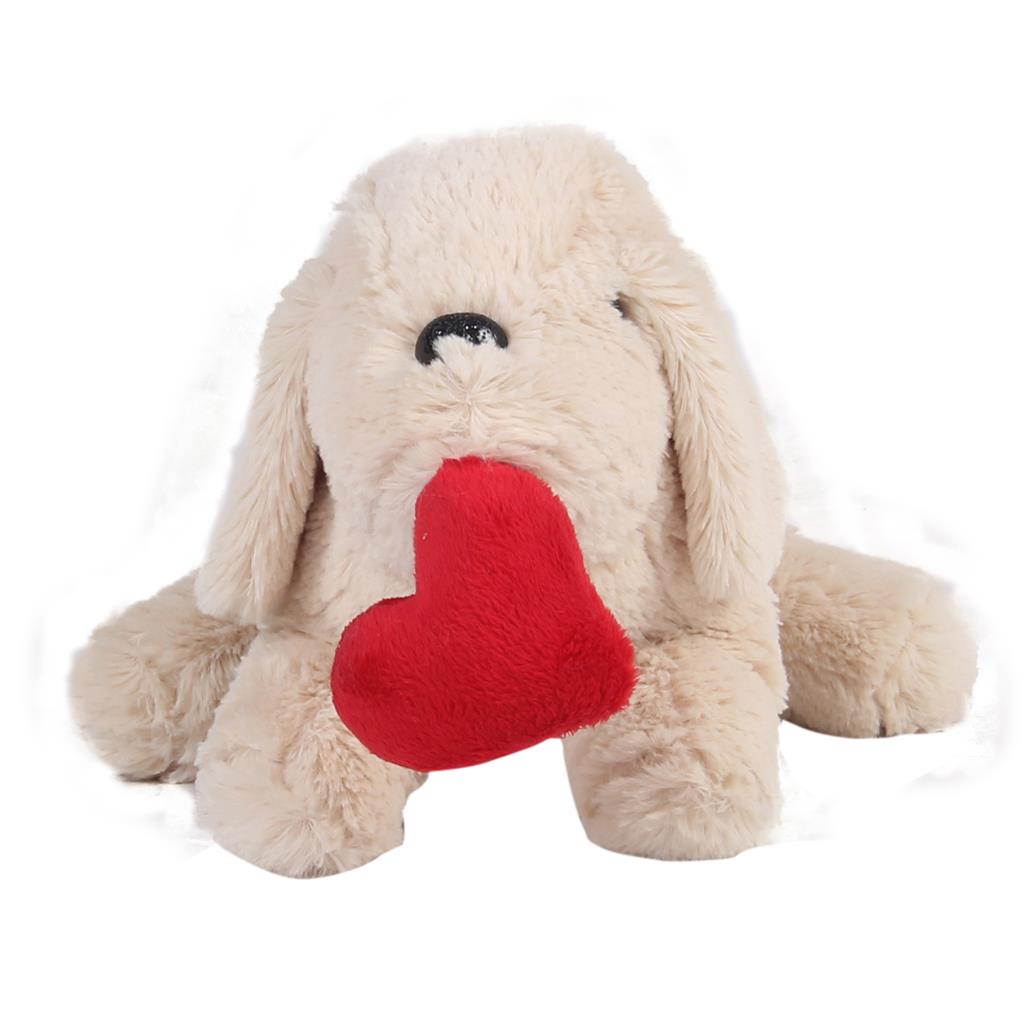 Kalpli Köpek-099122